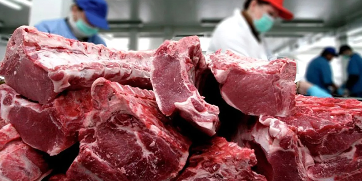 Informe del CEPA: Análisis de Precios de Carne Bovina - Abril 2024