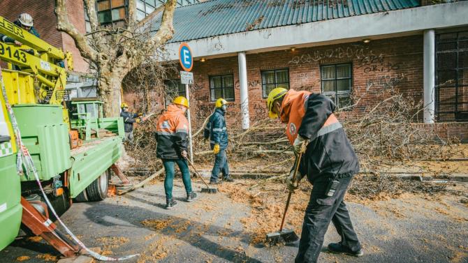 el municipio intervino en casi 600 emergencias por arboles o ramas caidas en la via publica