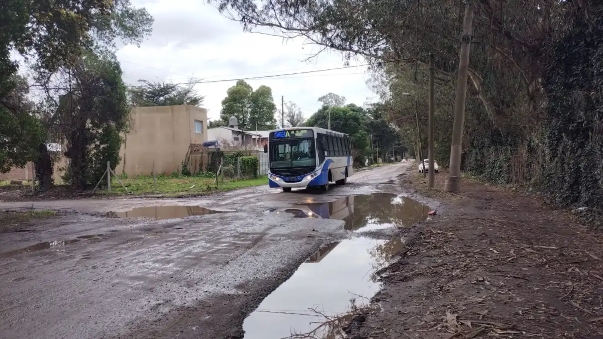 para transitar gandhi hay que ser un piloto de rally el grito desesperado de los vecinos de las dalias