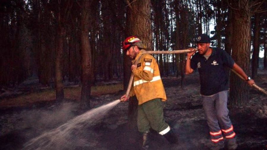 Bomberos Voluntarios, Defensa Civil y personal de la Delegación trabajan en un incendio en Laguna de los Padres laguna-de-los-padres-en-mar-del-plata-20211230-1291763