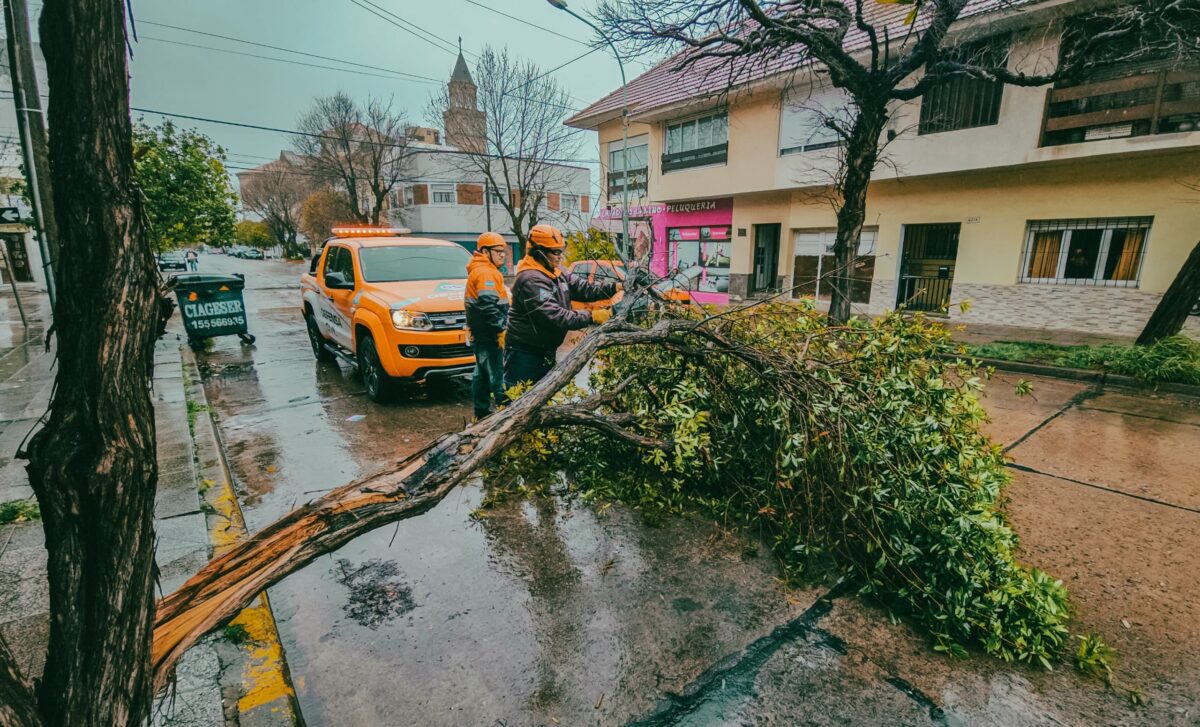 El Municipio brindó asistencia frente a distintas situaciones como árboles, postes y carteles caídos por los fuertes vientos 17594f0e-849f-495f-9e33-a9ce047eda65