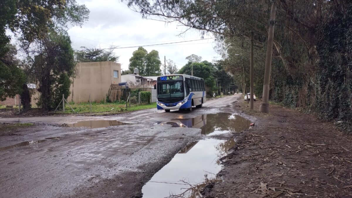 Vecinos de Las Dalias redoblan el reclamo por el abandono municipal: se viene el "Enduro de Gandhi" WhatsApp Image 2024-08-23 at 16.48.22