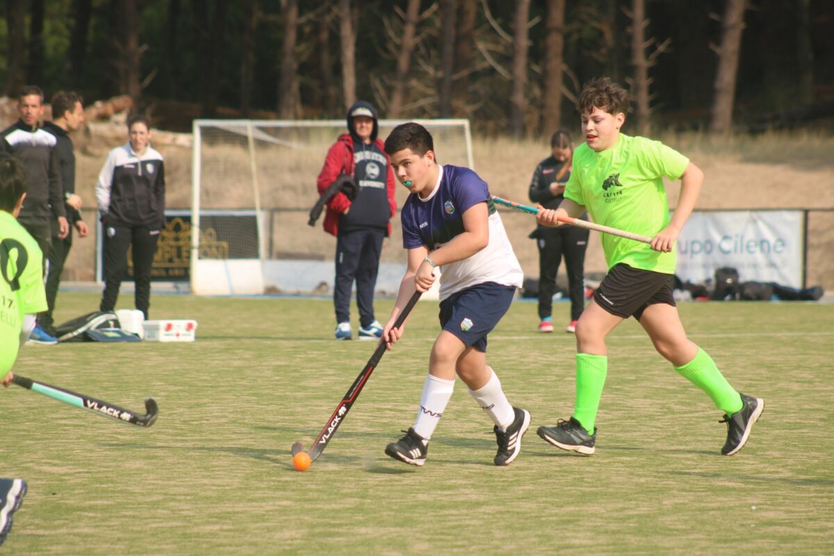 120 DEPORTISTAS DE VILLA GESELL COMPETIRÁN EN LA ETAPA INTERREGIONAL DE LOS JUEGOS BONAERENSES d66e1fd6-cbd0-4db9-92d8-b3e702bb9607