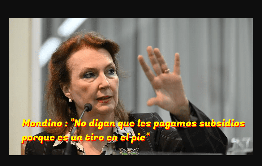 Mondino a los diplomáticos: "No digan que les pagamos subsidios porque es un tiro en el pie" mondino