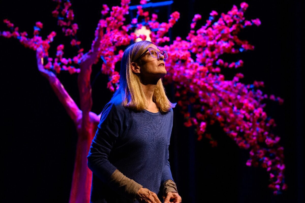 Okasan - Diario de viaje de una madre: Carola Reyna abre la temporada en el Auditorium WhatsApp Image 2024-12-27 at 16.03.03 (1)
