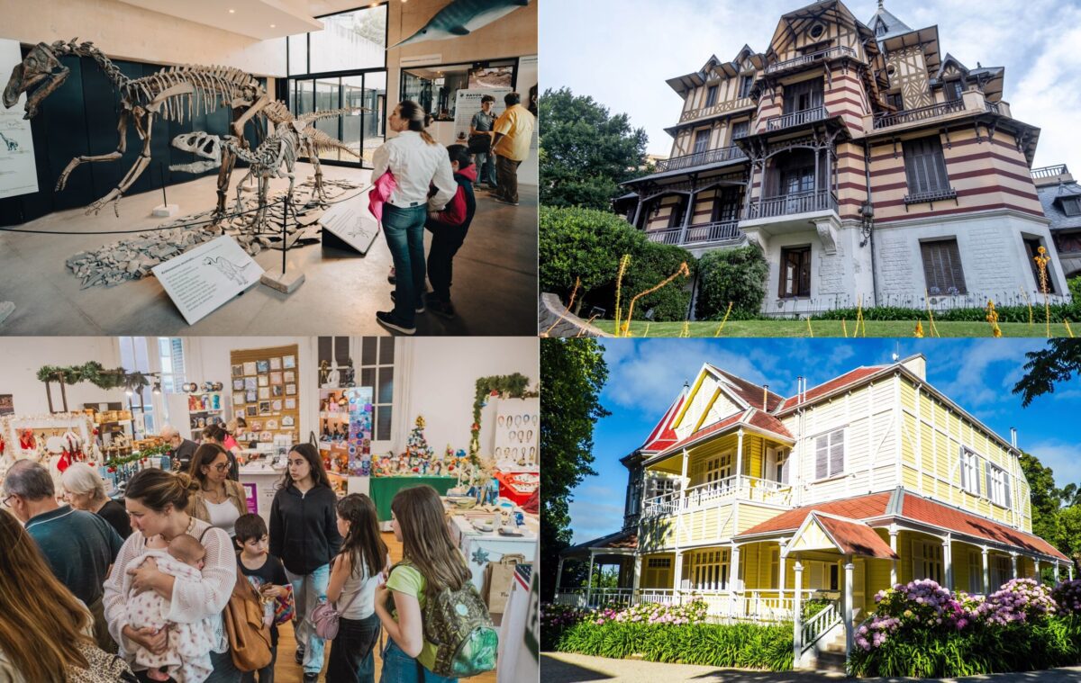 Conciertos, danza y exposiciones: propuestas imperdibles en los espacios culturales mar del plata