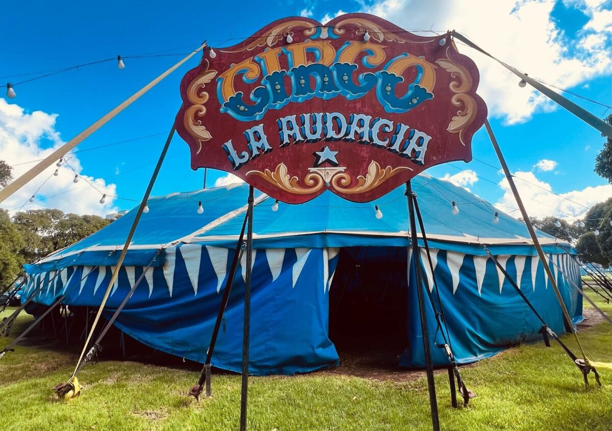 Circo La Audacia celebra el 25 de Mayo con circo, peña y propuestas para toda la familia 1f79f4b6-e280-4450-bb16-1059b74d566a