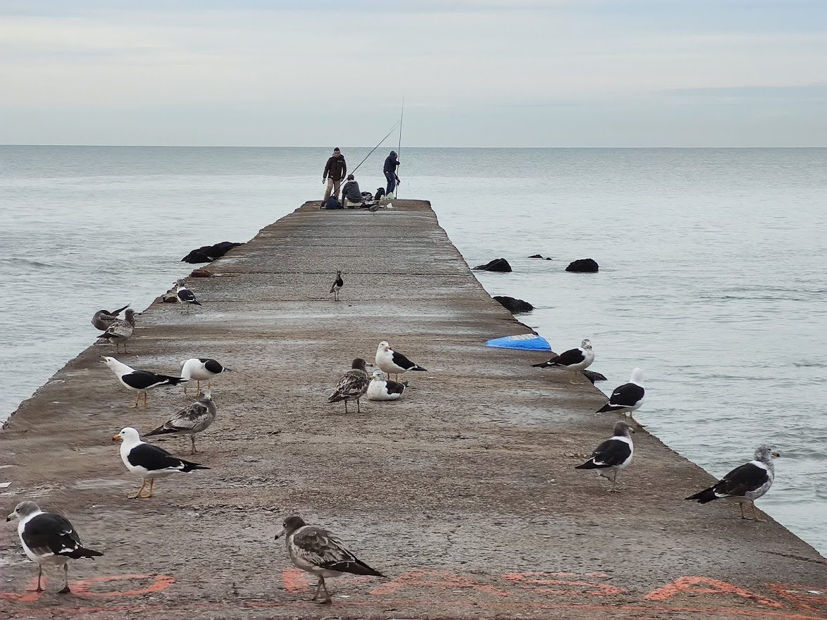Semana sin sorpresas en Mar del Plata: cielo despejado y clima agradable MAR DEL