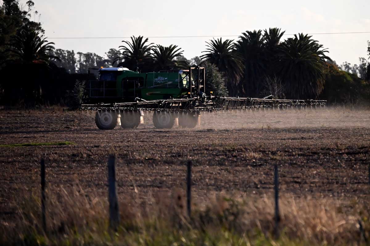 La Suprema Corte ordenó al Municipio garantizar agua potable en escuelas rurales y reforzar controles sobre agroquímicos FUMIGACIONES