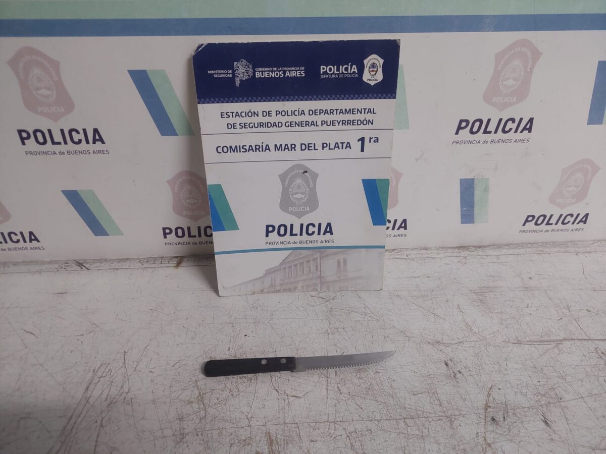 Amenazas con cuchillo en la Catedral: un hombre sembró el pánico en plena peatonal marplatense IMG-20250625-WA0074