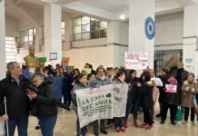 prestadores de discapacidad denuncian crisis historica tras veto a la ley de emergencia