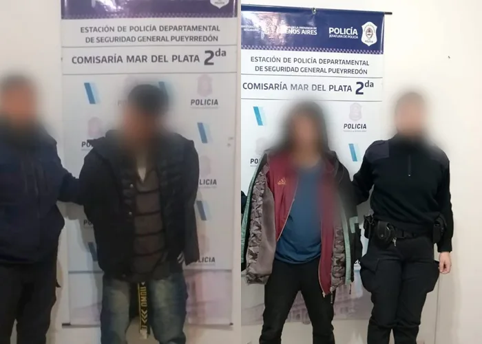 Robó una heladería, empujó a una clienta y fue detenido por las cámaras 5766