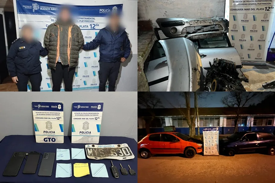 Cayó un desarmadero clandestino en Colón al 12100: secuestraron autos robados y autopartes page