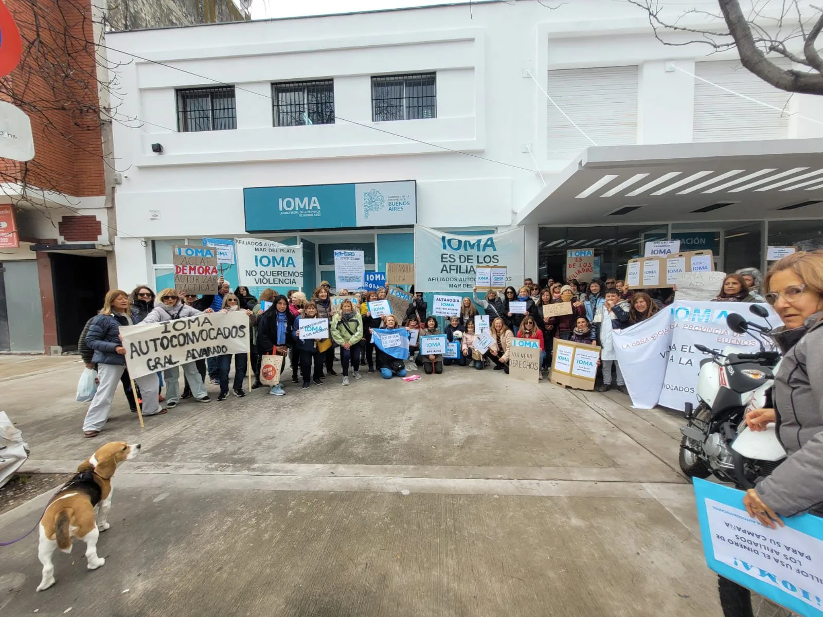 “Los aportes son nuestros”: afiliados autoconvocados de Mar del Plata exigen respuestas a IOMA WhatsApp Image 2025-09-18 at 12.10.46