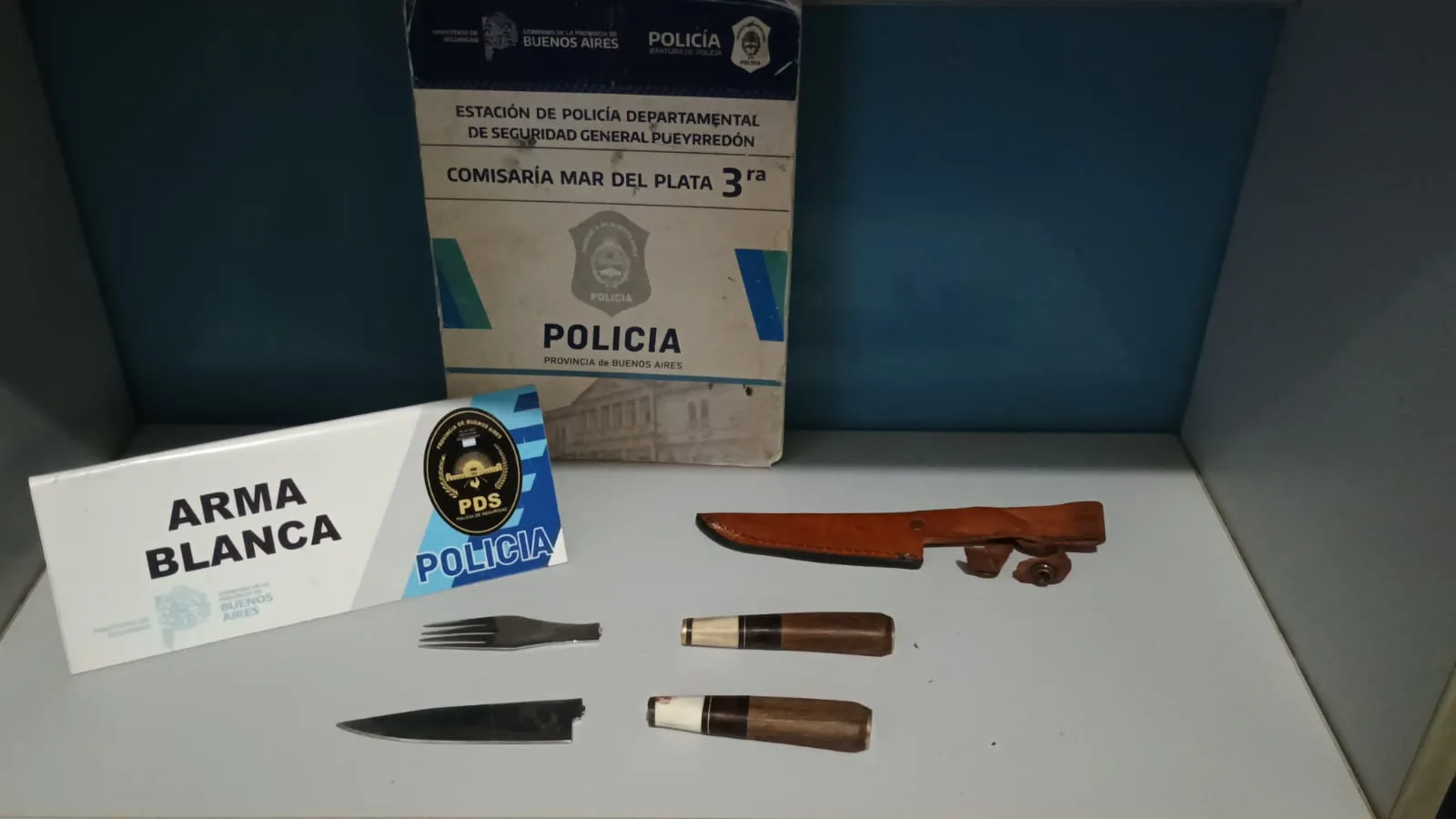 Golpeó a su compañero y lo amenazó con un cuchillo en Mar del Plata WhatsApp Image 2025-10-11 at 19.42.42