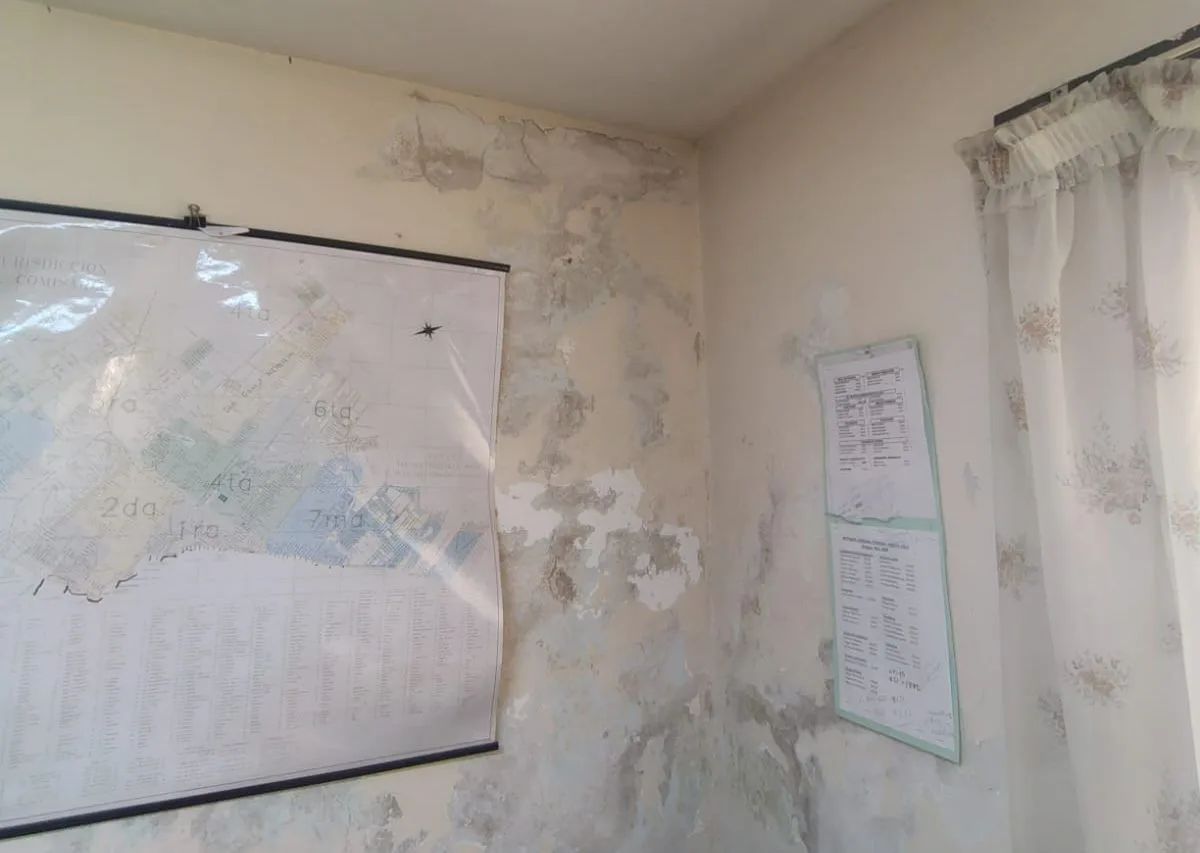 Grave denuncia: hallaron ratas en juzgados civiles y oficinas judiciales de Mar del Plata WhatsApp Image 2025-10-31 at 07.08.19 (1)