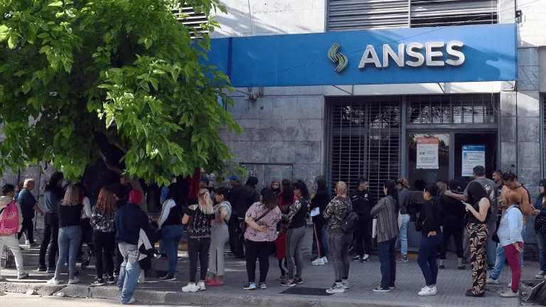 Prestación por Desempleo de Anses: montos actualizados y requisitos para acceder al beneficio anses
