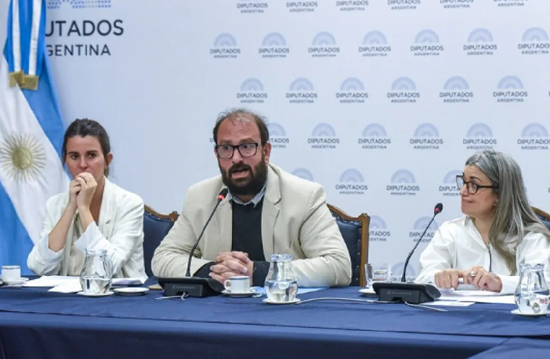 Ciudadanía digital: dos diplomaturas para formar usuarios responsables y prevenir delitos en la era virtual cermelo