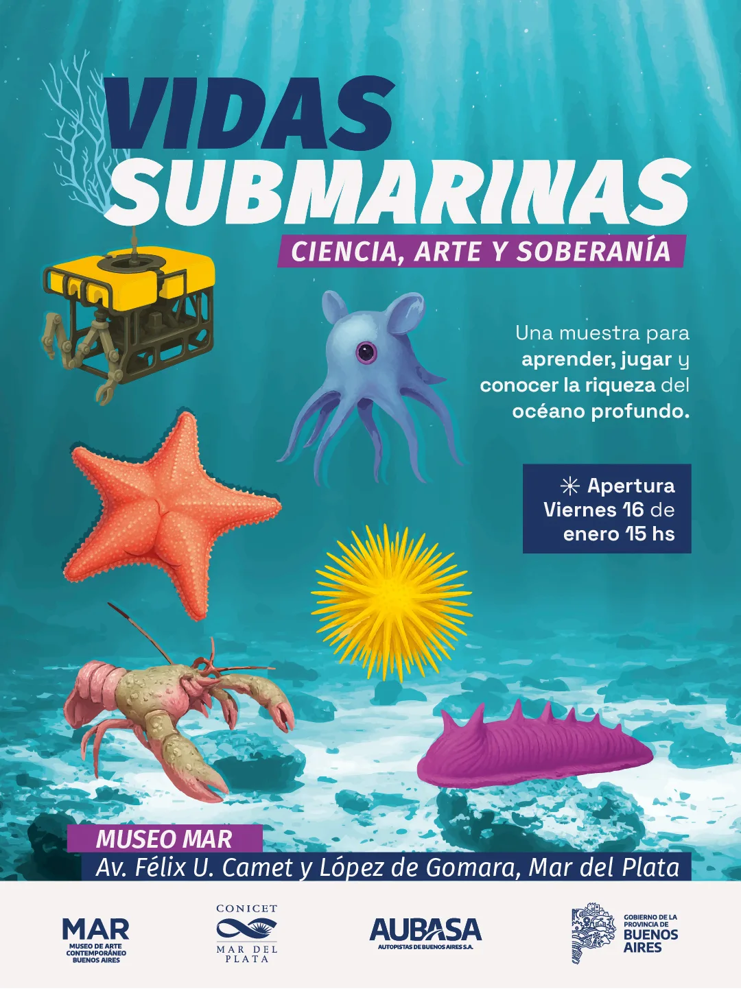 Arte, ciencia y soberanía: llega “Vidas Submarinas” al Museo MAR de Mar del Plata VIDAS_SUBMARINAS_apertura_al_público_1440x1080