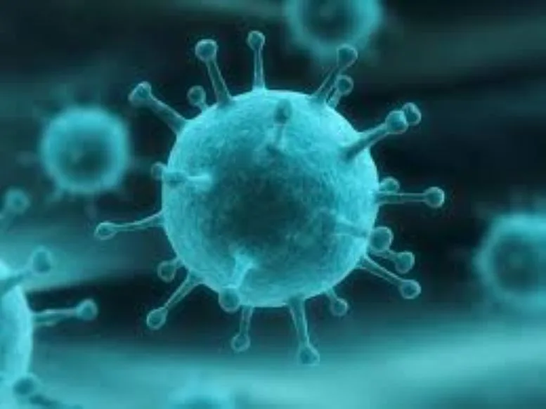 Confirman 18 casos de Gripe A en el país y refuerzan el llamado a la vacunación VIRUS-H3N2