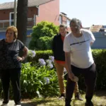 Últimos días del programa “Verano Activo y Saludable” en el Centro Gerontológico Vértiz Últimos días del programa “Verano Activo y Saludable” en el Centro Gerontológico Vértiz