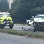 Persecución fatal en Mar del Plata: motociclista de 22 años pierde la vida al impactar contra un móvil policial Murió un adolescente tras una persecución policial: chocó contra un patrullero en avenida Luro