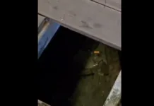 Preocupación por el estado de la Peatonal: Cheppi apuntó contra el “abandono” municipal tras la caída de una mujer