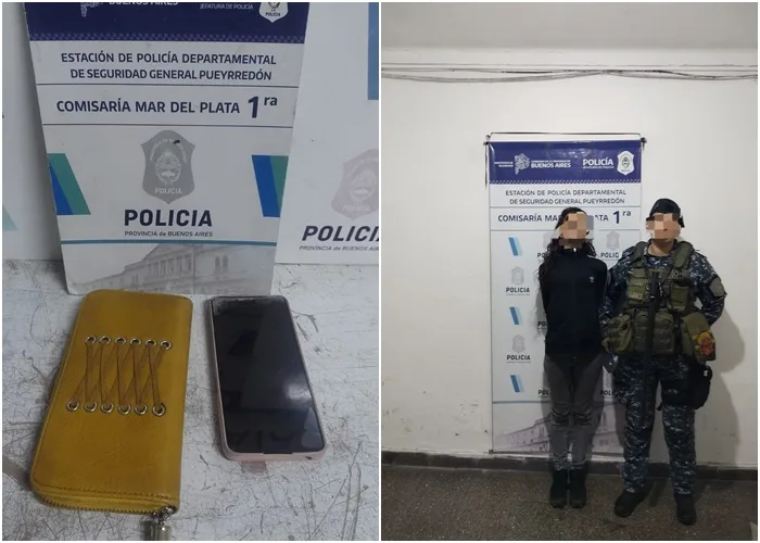 Quiso robarle a una turista en pleno centro, tiró la billetera al ver a la Policía y terminó detenida sol a sol