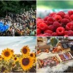 Calendario De Eventos Turísticos En La Provincia De Buenos Aires: Del 5 Al 12 De Febrero De 2026 Calendario De Eventos Turísticos En La Provincia