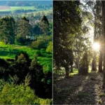 Crece la tensión por desarrollos inmobiliarios en Sierra y Bosque Peralta Ramos Crece la tensión por desarrollos inmobiliarios en Sierra y Bosque Peralta Ramos