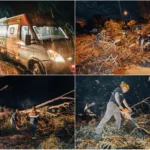 Ráfagas de más de 70 km/h causaron destrozos en Mar del Plata: más de 150 emergencias atendidas por el Municipio Temporal con ráfagas de más de 70 km/h: el Municipio atendió más de 150 llamados y hubo voladuras de techos y caída de árboles