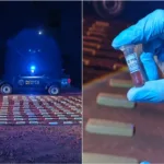 Misiones: la Policía Federal incautó 200 kilos de marihuana en Bernardo de Irigoyen sdsdds