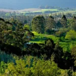 María Laura Viteri : “Nos preocupa que los desarrollos no respeten la naturaleza ni los recursos básicos” sierrajpg