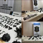 Golpe al narcotráfico en Mar del Plata: 10 detenidos y red que operaba desde la cárcel 12