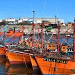 *Pulti: "Milei debe proteger y no abandonar nuestras industrias" IMG-20260406-WA0000