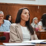 Violencia en escuelas de Mar del Plata: proponen un plan integral y apuntan al Municipio ayala