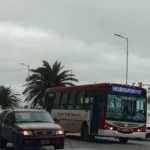 Desde el 1° de junio, viajar en colectivo en Mar del Plata costará $1.922 COLE