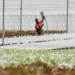 El Municipio impulsa la producción hidropónica como modelo sostenible WhatsApp Image 2026-05-03 at 14.30.32