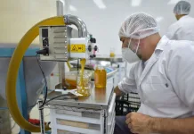 Mar del Plata volvió a exportar miel fraccionada a Estados Unidos tras más de 20 años