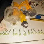Cayó en pleno centro con cocaína fraccionada durante un operativo municipal Cayó en pleno centro con cocaína fraccionada durante un operativo municipal