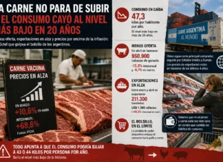 La carne no para de subir y el consumo cayó al nivel más bajo en 20 años