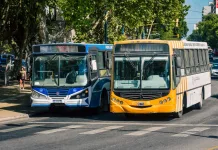 Mar del Plata: los colectivos dejarán de circular desde las 14 por la final del Mundial