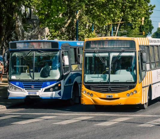 Mar del Plata: los colectivos dejarán de circular desde las 14 por la final del Mundial