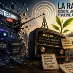 La radio resiste y vuelve a crecer: el streaming pierde impacto tras el boom inicial radio