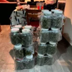 Cayeron siete integrantes de una banda narco en Mar del Plata: secuestraron cocaína, dólares y vehículos 2_desarticulan_una_organizacion_narcocriminal_en_mar_del_plata