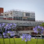 Por primera vez en el Garrahan, dos gemelas fueron trasplantadas en simultáneo Frente