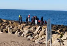 Hallaron un cuerpo en la costa de Mar del Plata: creen que sería el hombre que cayó al mar en Punta Iglesia