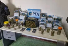 Cayó una organización narcofamiliar en Necochea: secuestraron casi 6 kilos de marihuana