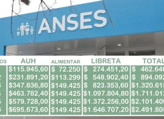 AUH en junio 2026: cuánto se cobra con Tarjeta Alimentar y Libreta de ANSES