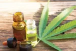 Mendoza se convierte en la primera provincia en regular el cannabis medicinal en animales cannabis medicinal